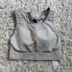 Nike Light Gray Seamless Crop Sports Bra